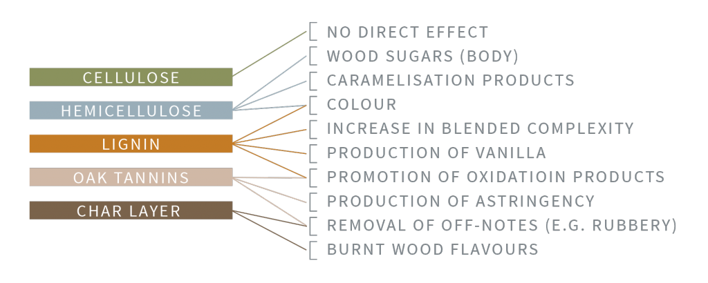 05_Wood_OakInfluence_2